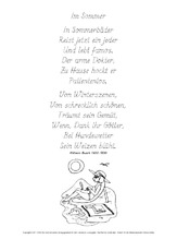 Im-Sommer-Busch-GS.pdf